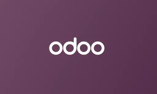 Odoo Startup 1 Tahun